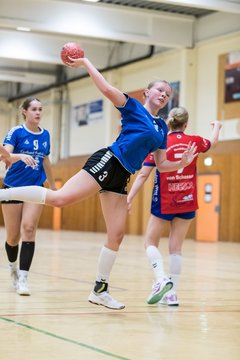Bild 292 - wBJ TSV Ellerau - HSG Schue/We/Re : Ergebnis: 23:15